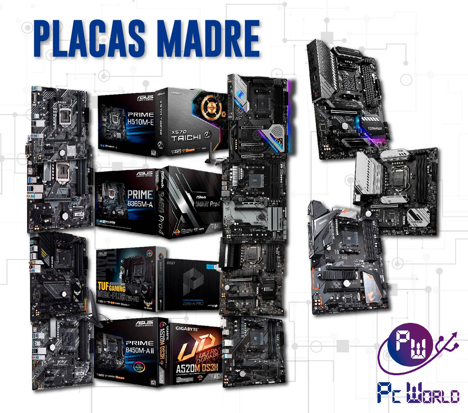 Placas Madre